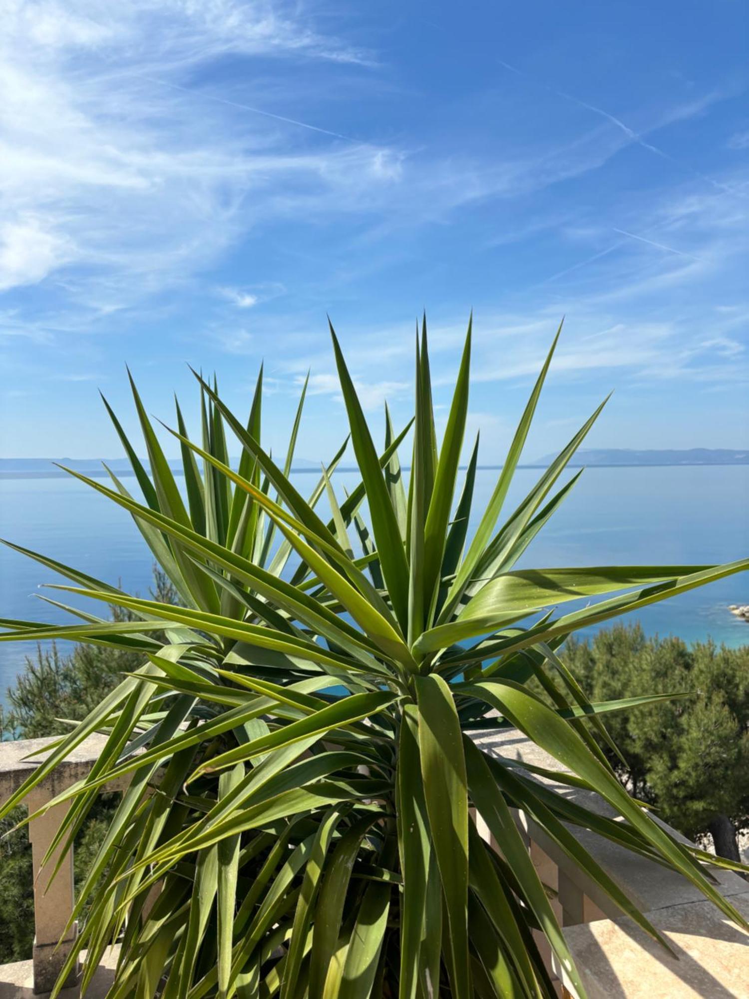 Villa Spomenka Podgora Exterior photo