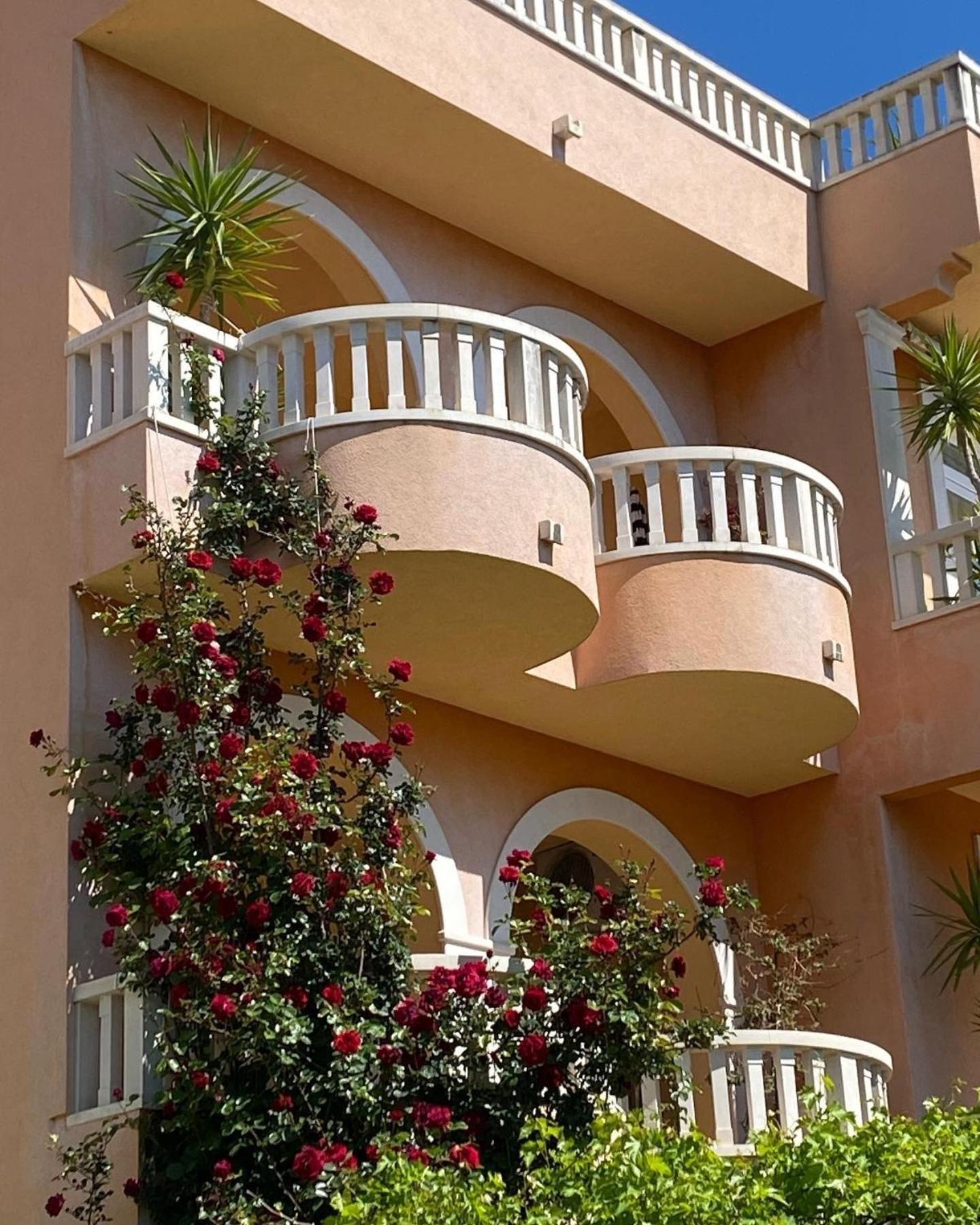 Villa Spomenka Podgora Exterior photo